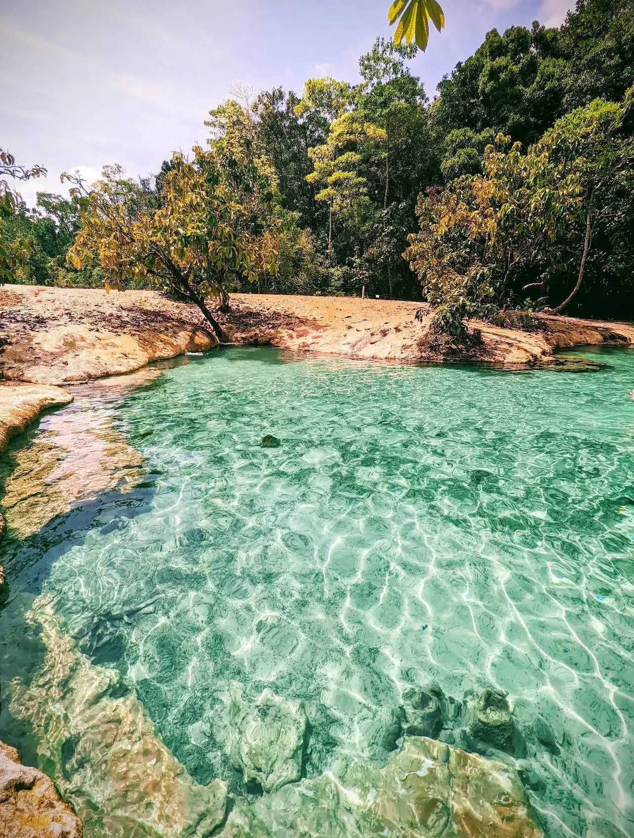 Изумрудное озеро с бирюзовой водой среди леса, Краби